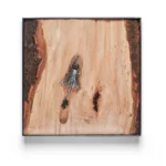 Borebillen Mr. Drill-Bill - Billede 2