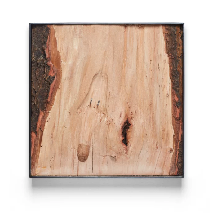 Borebillen Mr. Drill-Bill - Billede 3