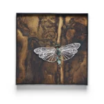 Vårfluen - Billede 2