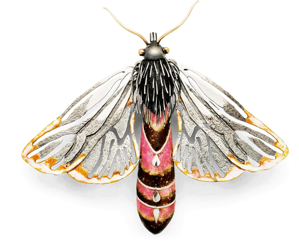 KANELBJOeRNEN_OPPE-web