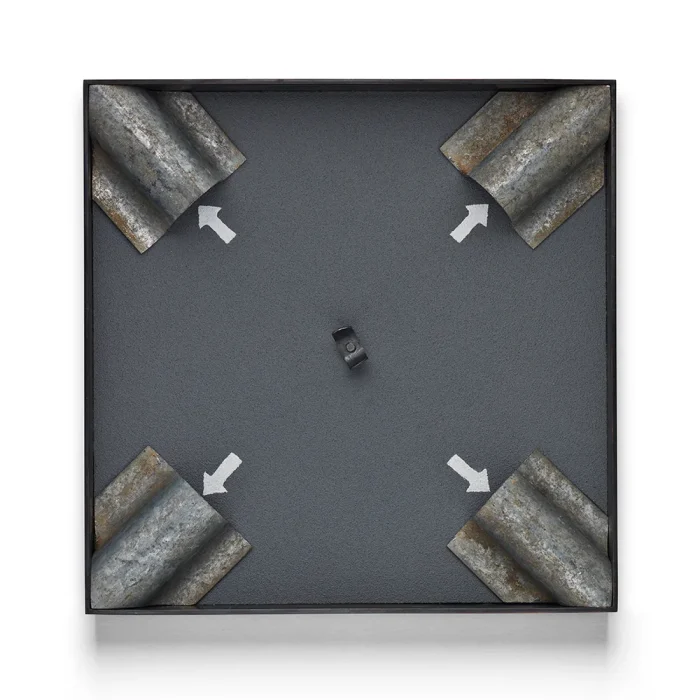 Musk beetle - Billede 3